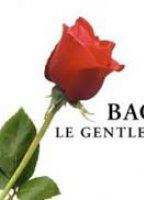 Bachelor gentleman célibataire (2003-presente) Escenas Nudistas