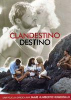 Clandestino destino (1987) Escenas Nudistas