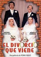 El divorcio que viene (1980) Escenas Nudistas