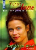 First Love - Die große Liebe 1997 película escenas de desnudos