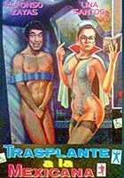 Transplante a la mexicana 1990 película escenas de desnudos