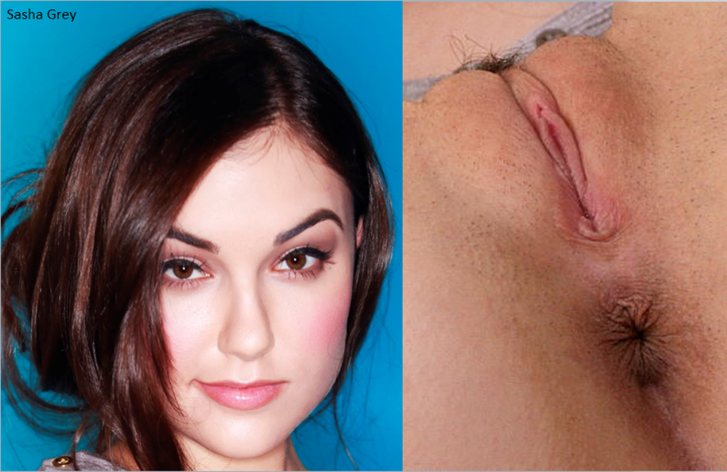 Sasha Grey Desnuda En Pussy Portraits My XXX Hot Girl