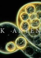 Alice In Chains: Black Antenna escenas nudistas