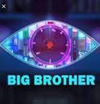 Big Brother Slovenia (2007-2016) Escenas Nudistas