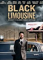Black Limousine (2010) Escenas Nudistas