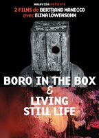 Boro in the Box (2011) Escenas Nudistas