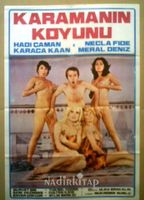 Kadinlar hamami 1978 película escenas de desnudos