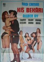 Kis Bekari (1978) Escenas Nudistas