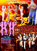 La banda de los bikinis rosas vs Cobras negras  (2013) Escenas Nudistas