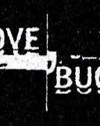 Love Bugs 2004 película escenas de desnudos