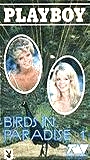 Birds in Paradise (1988) Escenas Nudistas