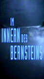 Im Innern des Bernsteins (1995) Escenas Nudistas
