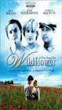Wildflower (1991) Escenas Nudistas