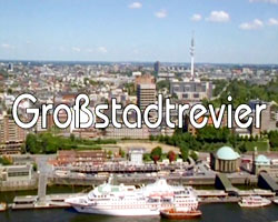 Großstadtrevier 1986 - present película escenas de desnudos